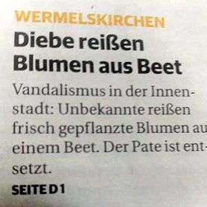 Pate