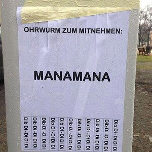 Ohrwurm
