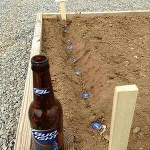 BeerPlant