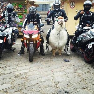 Motocross