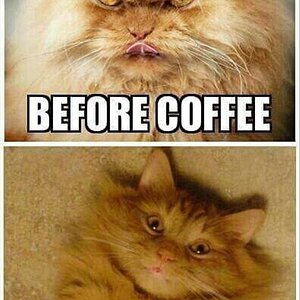 BeforeAfterCoffee