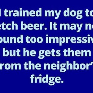 DogTrained
