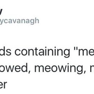 Meow