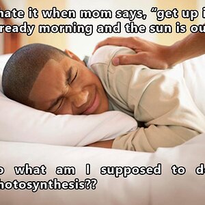 Photosynthese