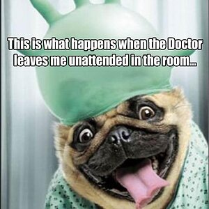 DoctorAlone