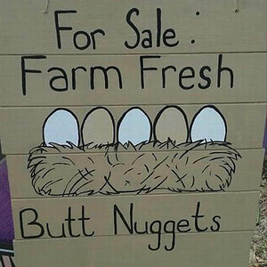 ButtNuggets