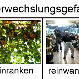 Reinwanken