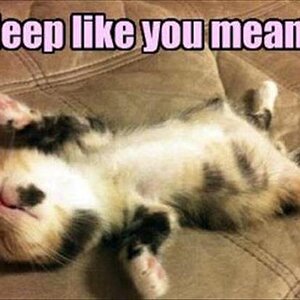 Sleepmean