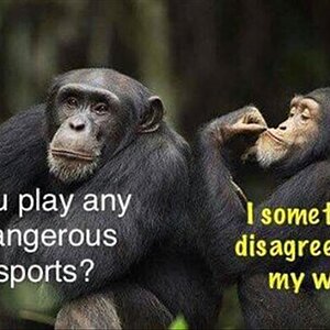 DisagreeWife