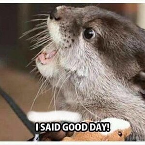 Goodday