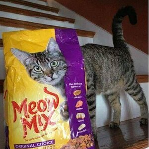Meow