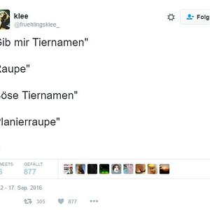 BoeseTiernamen