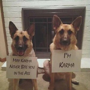 Instantkarma