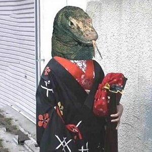 Kimonodragon