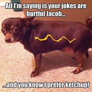 HotDogKetch