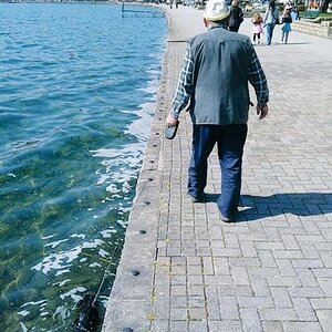 Seehund