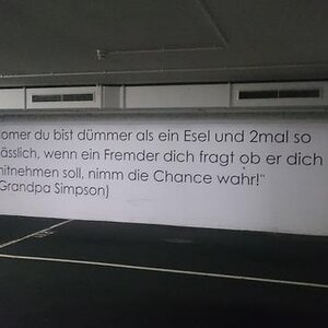 NewsvonHomer