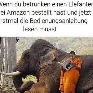 Elefant