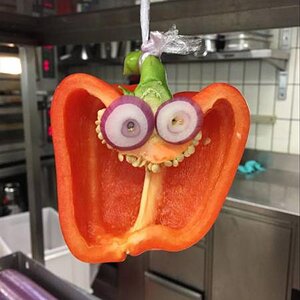 CrazyPaprika