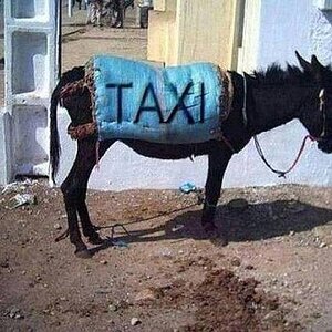 Taxi