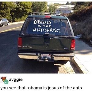 Ameisenchrist