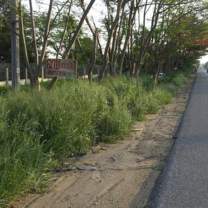 Auf nach Yasothon