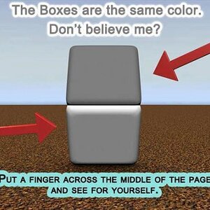 Box-Colour