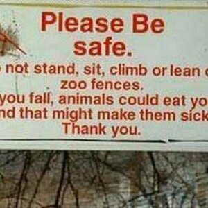 SickAnimal