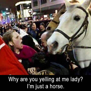 HorseLady
