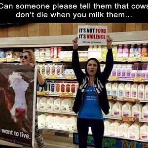 MilkCow