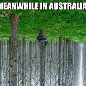 MeanwhileAustralia