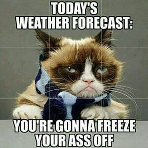 Wettervorhersage