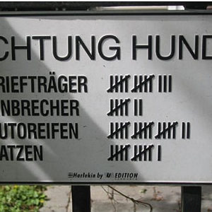 Hund