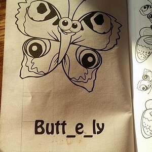 Butterfly