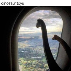 TravelDino