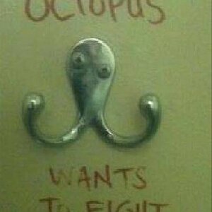 DrunkOctopus