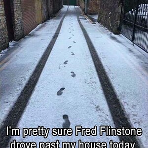 FredFeuerstein