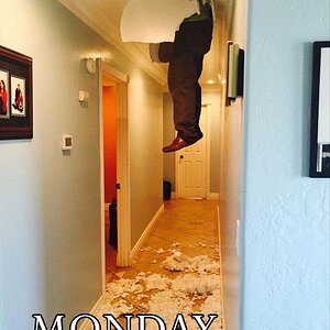Monday