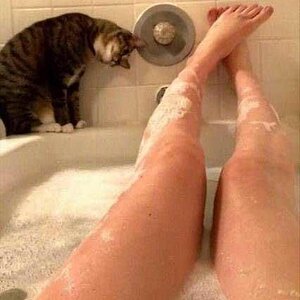 No_privacy