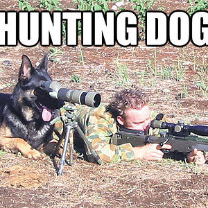 Jagdhund