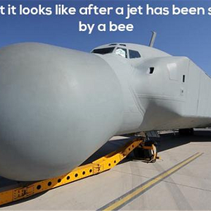 StungJet