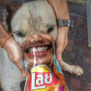 LookDog