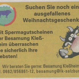Besamungsgutschein