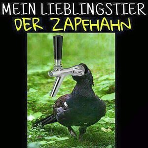 Zapfhahn