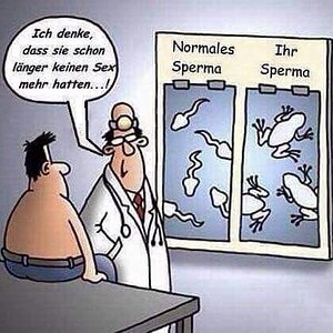 Spermien