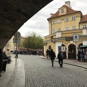IMG_1147