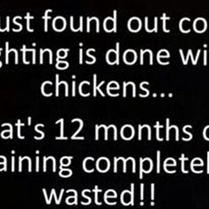 CockFighting