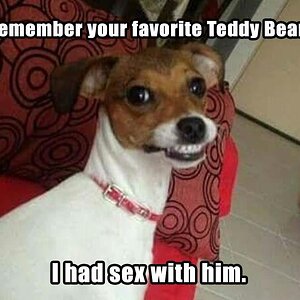 TeddybearFavourit