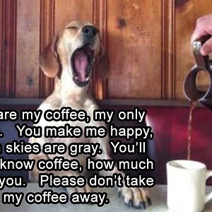 MyOnlyCoffee