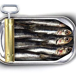 Sardinendose